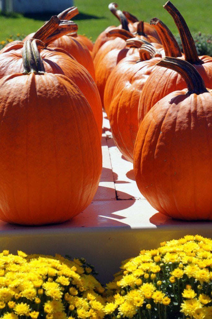Fall is on the way! Fall is on the way!