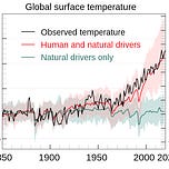 Surviving Healthcare