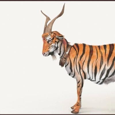 Mark Degnan on X: "Tiger GOAT - unreal scenes 🏌️ #masters  https://t.co/PEImfDfQ8m" / X