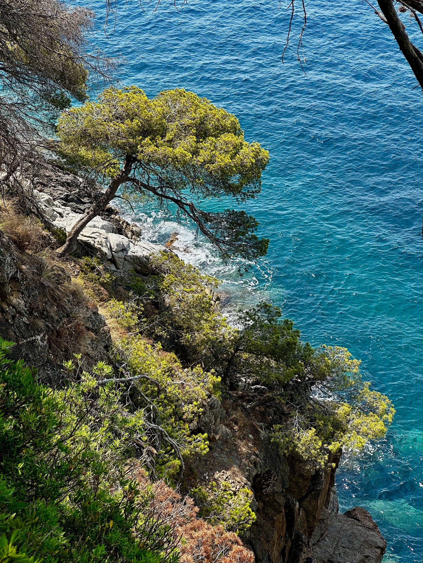 Calella de Palafrugell and Llafranc, Costa Brava