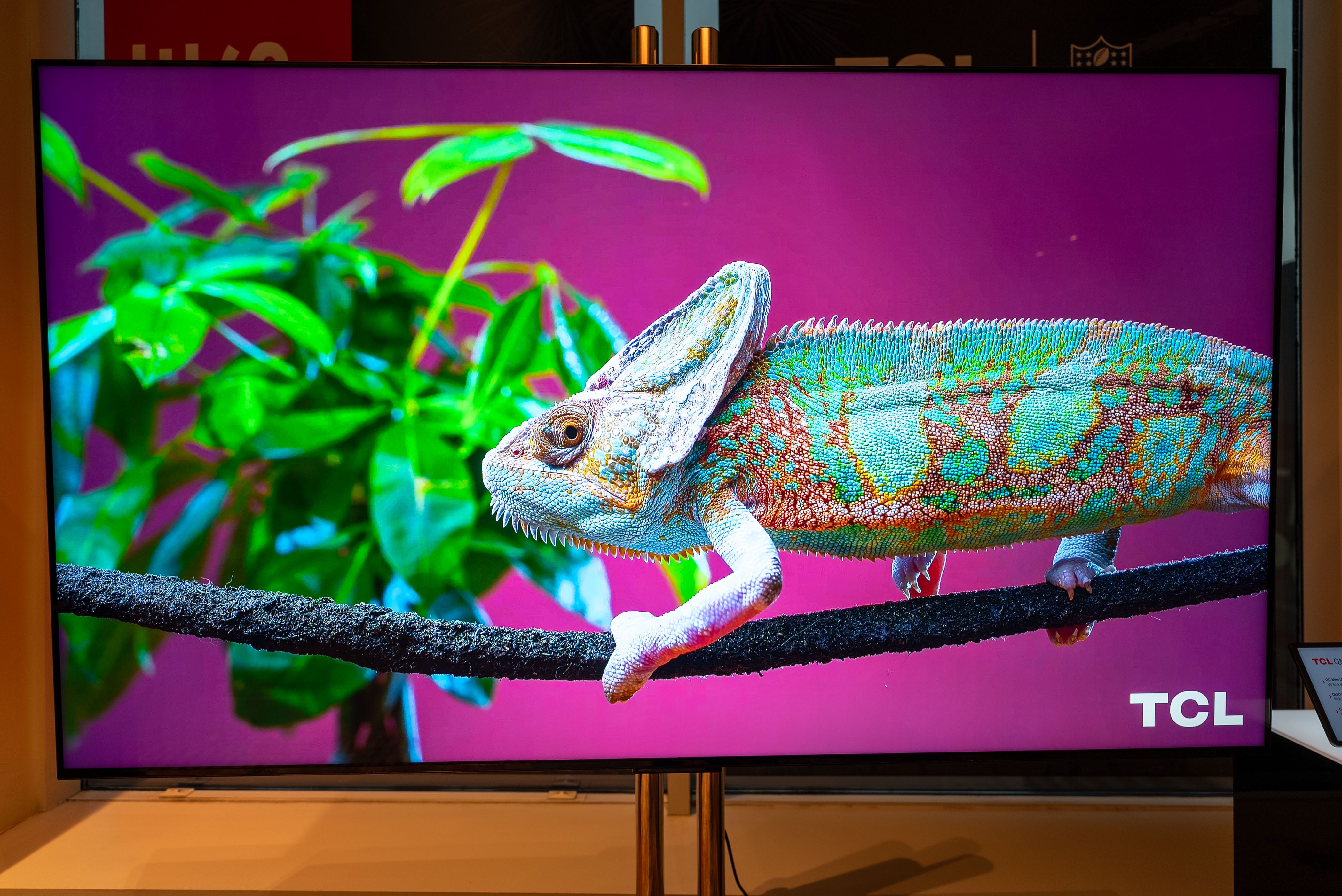 TCL 2024年製モデル tcl-qm8-tv-2024-web-04.jpg?fit