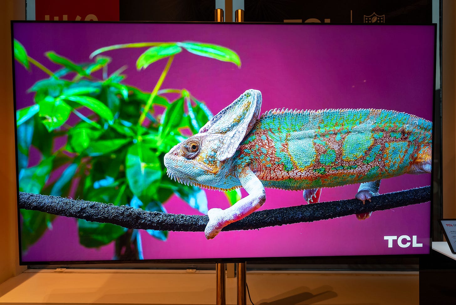 TCL QM8 4KTV 2024 TCL QM8 4KTV 2024