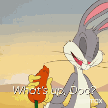 What Up Doc Bugs Bunny GIFs | Tenor