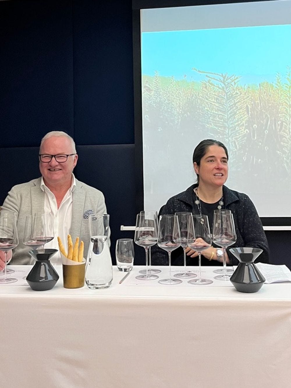 Sassicaia 2022 Sassicaia 2022
