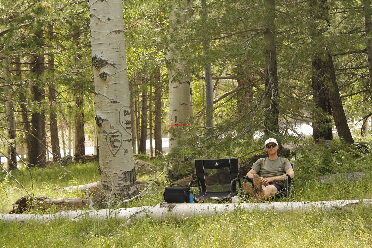 A man with sunglasses and a hat sits in a chair next to a tree in a forest