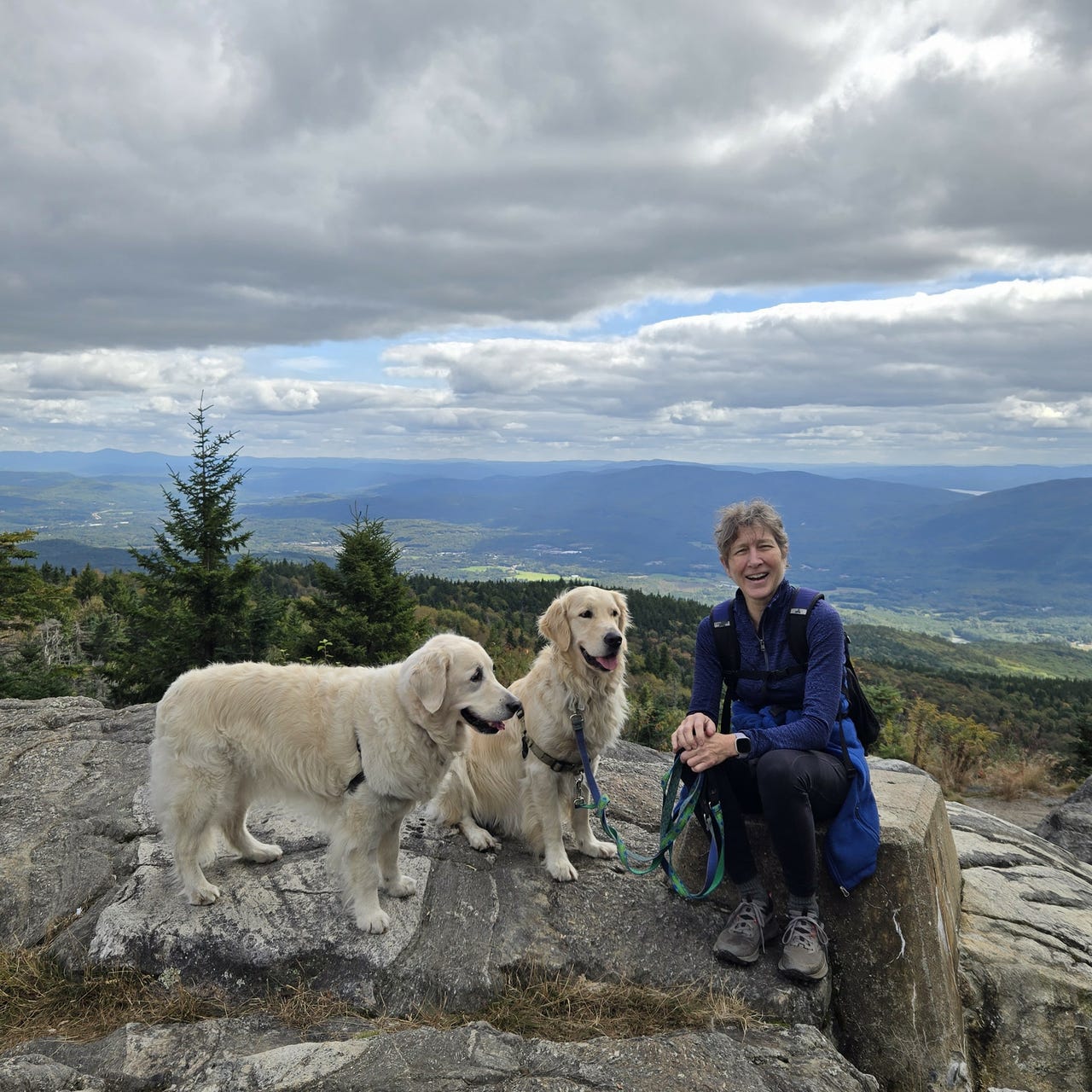 Our Dogs, Our Selves