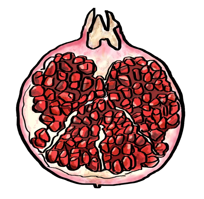 Pomegranate and Memory An illustration from The Wolf of Baghdad featuring the pomegranate—a symbol of home, heritage, and the sensory memory of a lost world. Pomegranate and Memory An illustration from The Wolf of Baghdad featuring the pomegranate—a symbol of home, heritage, and the sensory memory of a lost world.