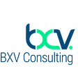 BXV Insights's avatar