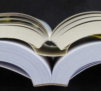 Two perfect bound books. Two perfect bound books.