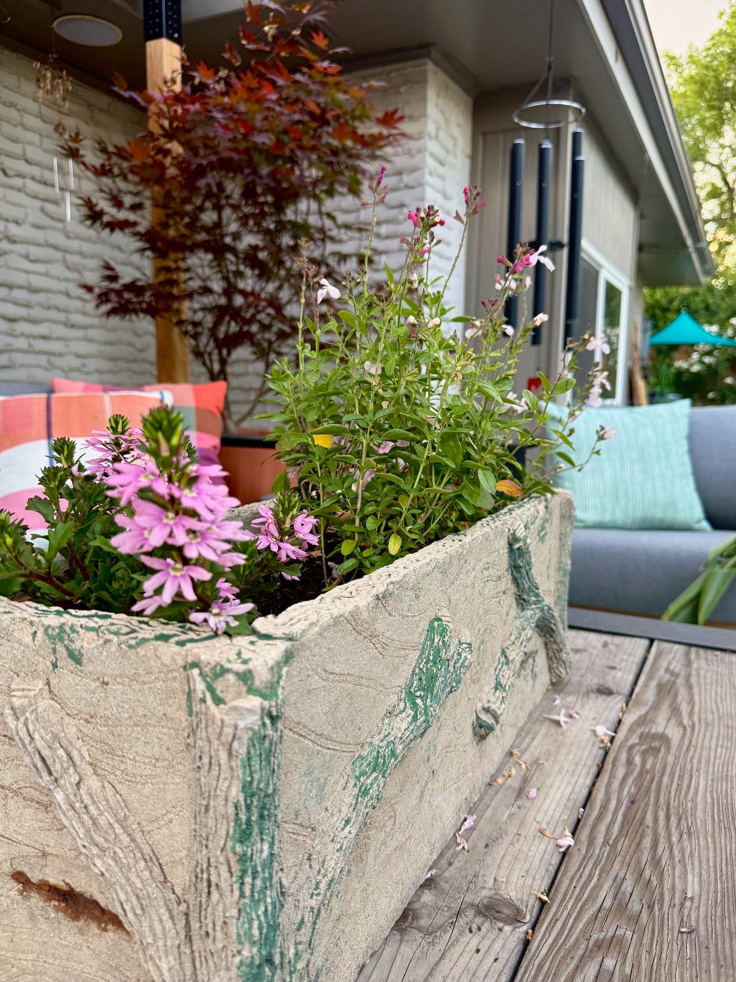 succulents in ceramic pots 3 sets 3