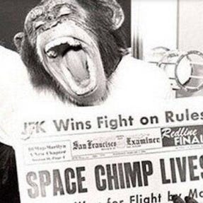 Space chimp life logo
