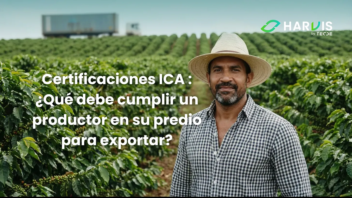 Certificaciones ICA : ¿Qué debe cumplir un productor en su predio para exportar?