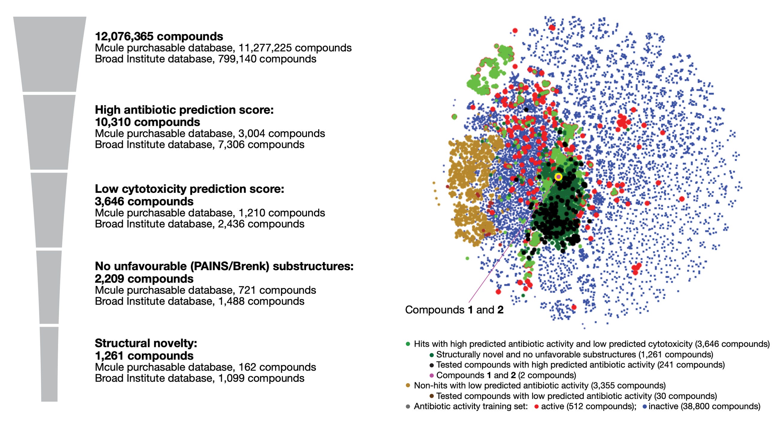 How AI Accelerates Drug Development - by Eric Fish, DVM
