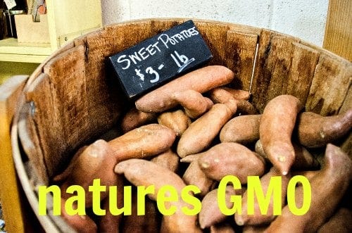 All natural GMO produced by nature - it is good for you! All natural GMO produced by nature - it is good for you!