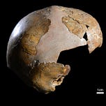 Anthropology.net