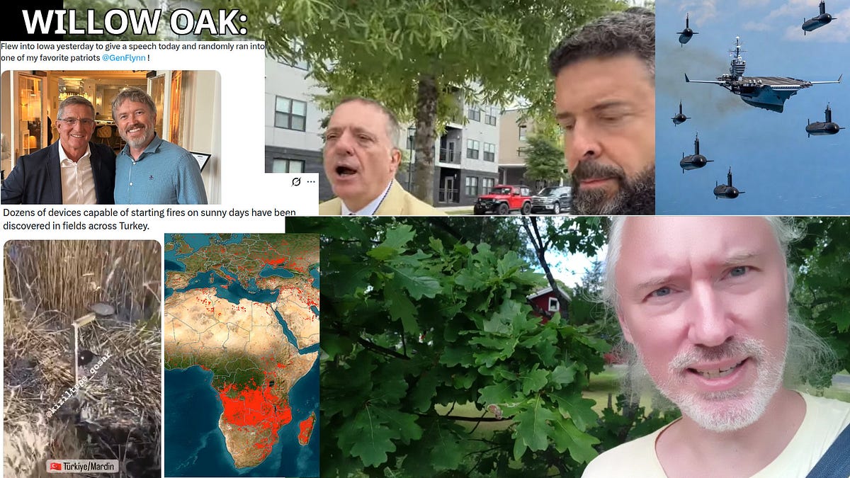 X-money👺 TACO Sunday; half-war forever, all sides hate Trump. Arrest Tyler Robinson accusers!
