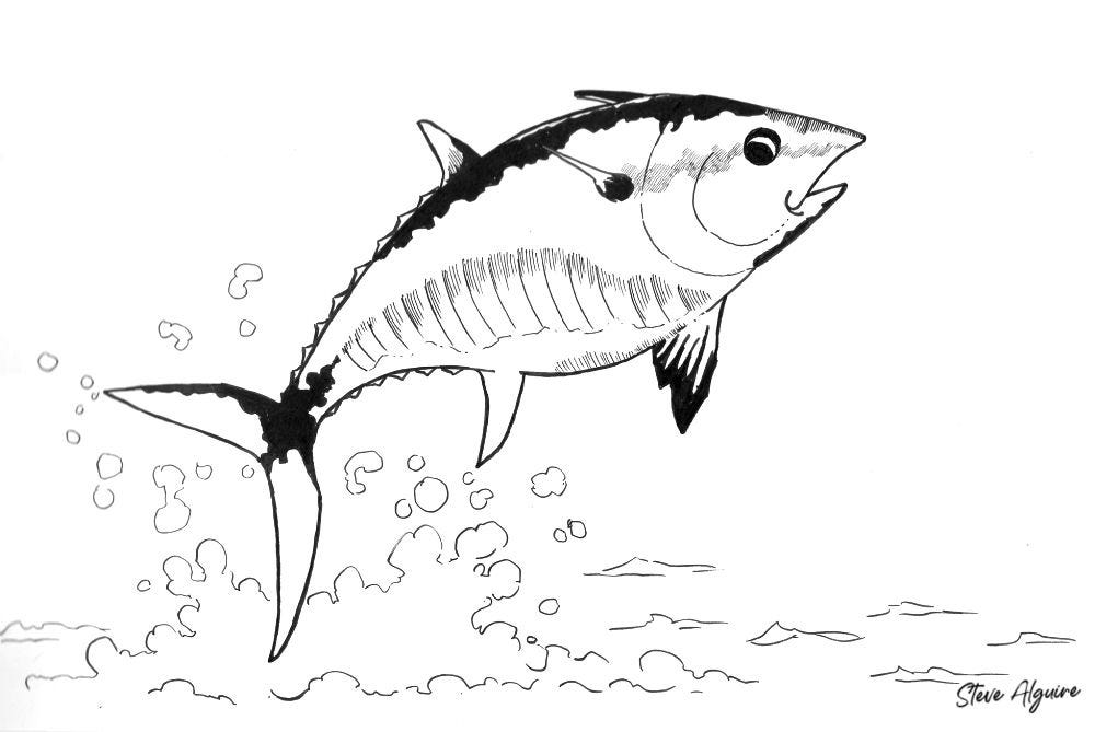 Ink drawing of an Atlantic bluefin tuna leaping from the water. Signed by Steve Alguire