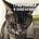 Adrienne M. Wootten's avatar
