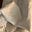 storiedcloth's avatar