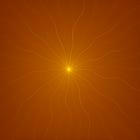 Whatever, I Think I'm Hilarious.