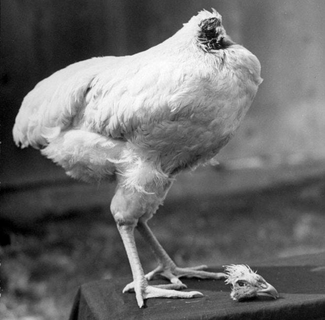 The Challenge of Backlog Refinement