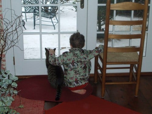 DSCF2348_2 DSCF2348_2