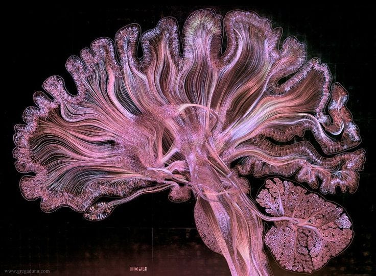 This may contain: an image of the inside of a brain with pink filaments on black background This may contain: an image of the inside of a brain with pink filaments on black background