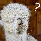 What You Cannot Do With Llama 2