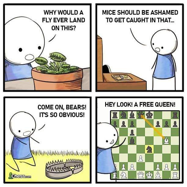 r/ExplainTheJoke - WHY WOULD A FLY EVER LAND ON THIS? MICE SHOULD BE ASHAMED TO GET CAUGHT IN THAT... COME ON, BEARS! IT'S so OBVIOUS! HEY LOOK! A FREE QUEEN!