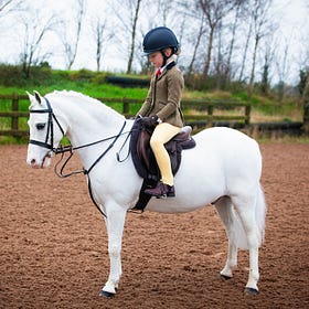 Winter Working Hunter league off to a fantastic start at Ardnacashel
