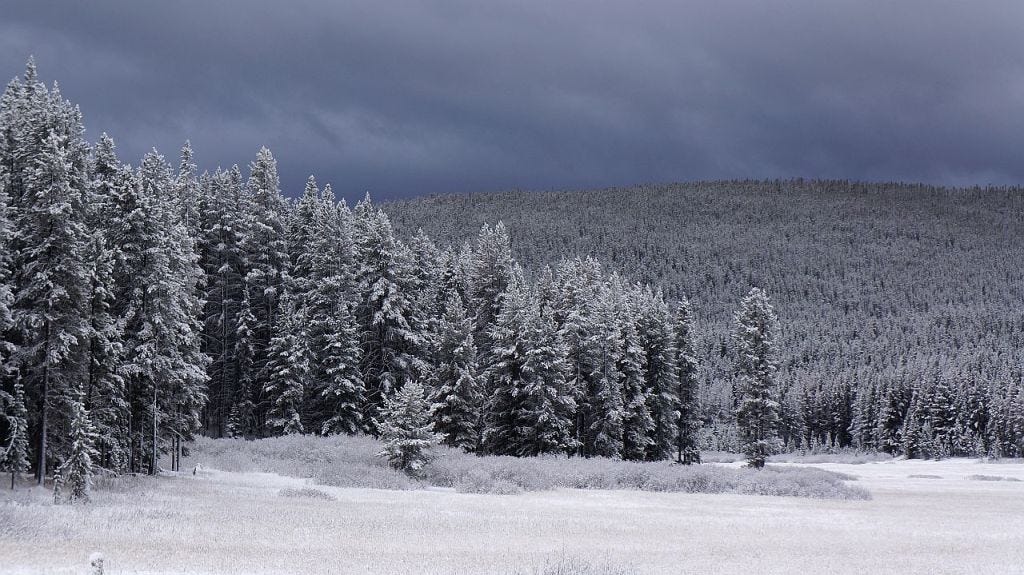 Frosted Storm Frosted Storm