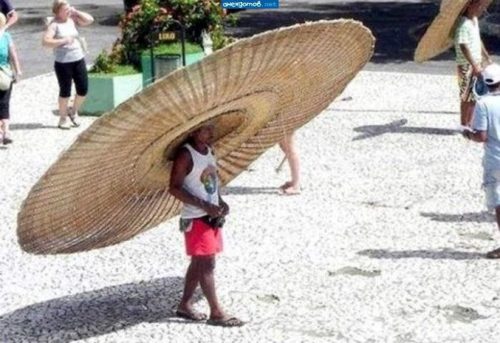 giant sombrero | Funny hats, Funny, Funny pictures