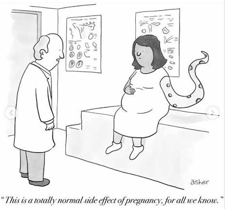 Behind every “funny because it's true” pregnancy cartoon is a pregnant  person thinking… “Okay but actually, who can I talk to about this?”  Spoiler: that's where we come in. @newyorkercartoons @asherperlman