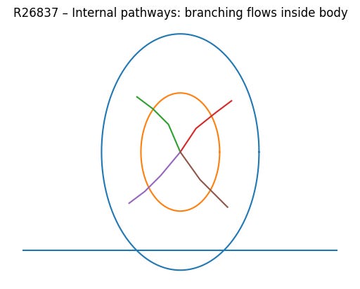 Internal pathways – branching internal flows/circulation inside the body, shown within the outer form and denser core, with the base line at the bottom.