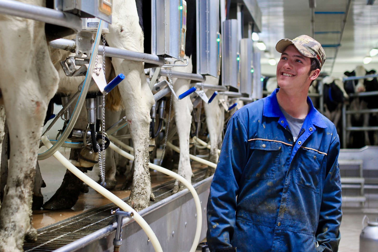 Ein junger Landwirt in blauer Arbeitskleidung und mit einer Camouflage-Mütze steht lächelnd in einem modernen Melkstand. Neben ihm sind mehrere Kühe von hinten zu sehen, vermutlich Holsteiner Milchkühe, die an Melkmaschinen angeschlossen sind. Die Umgebung wirkt sauber und technisch gut ausgestattet, mit sichtbaren Schläuchen und Edelstahlvorrichtungen zur Milchgewinnung. Ein junger Landwirt in blauer Arbeitskleidung und mit einer Camouflage-Mütze steht lächelnd in einem modernen Melkstand. Neben ihm sind mehrere Kühe von hinten zu sehen, vermutlich Holsteiner Milchkühe, die an Melkmaschinen angeschlossen sind. Die Umgebung wirkt sauber und technisch gut ausgestattet, mit sichtbaren Schläuchen und Edelstahlvorrichtungen zur Milchgewinnung.