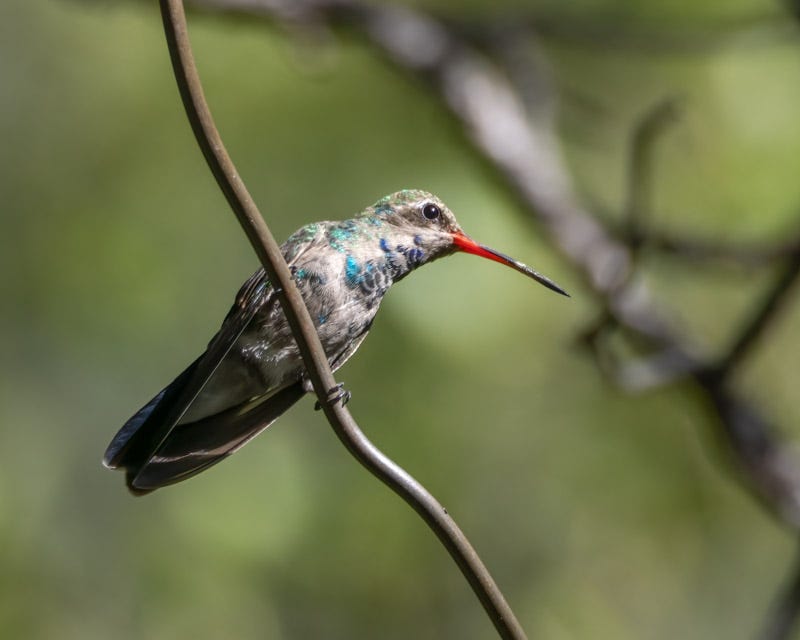20260818-MillerCanyon-207-Edit 2.jpg