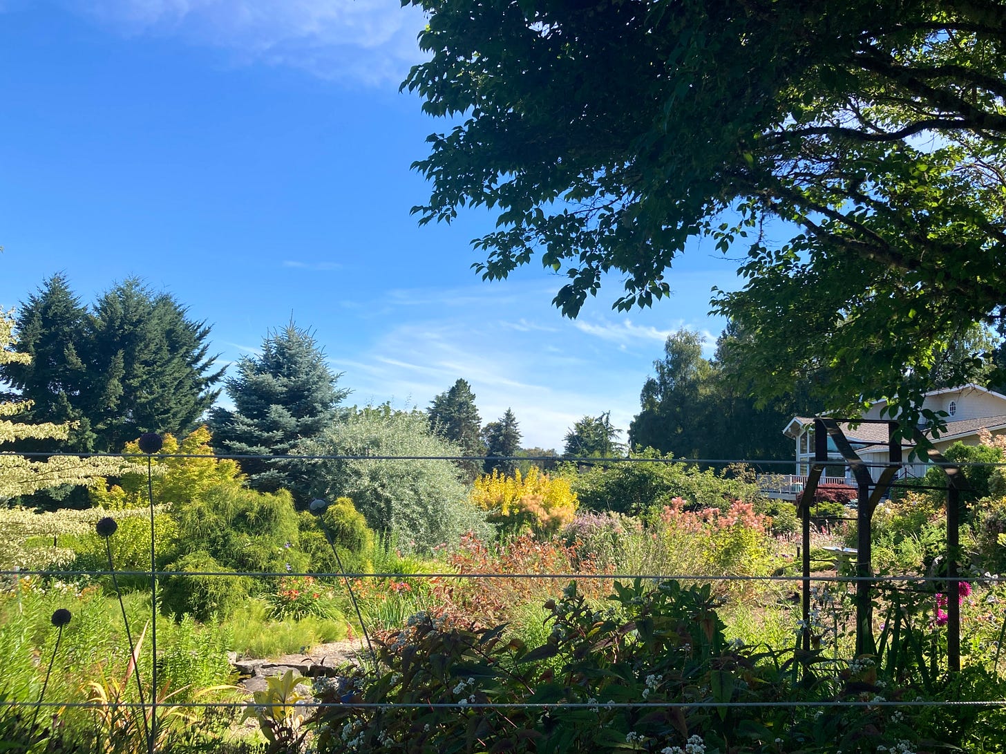 Photo of a jaw-dropping Vashon Island garden