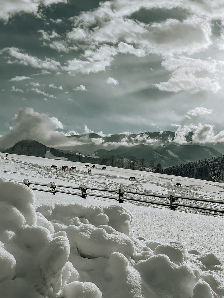 Winterwonderland in Salzburg