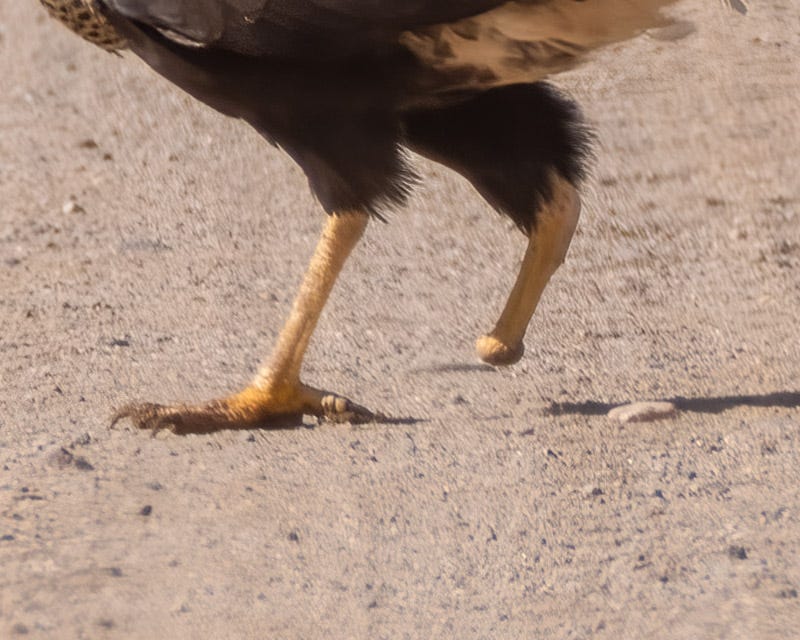 20250801-Manville-60-Edit.jpg 20250801-Manville-60-Edit.jpg