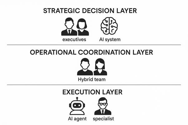 Three-Layer Organization Three-Layer Organization