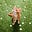 Cherie's avatar