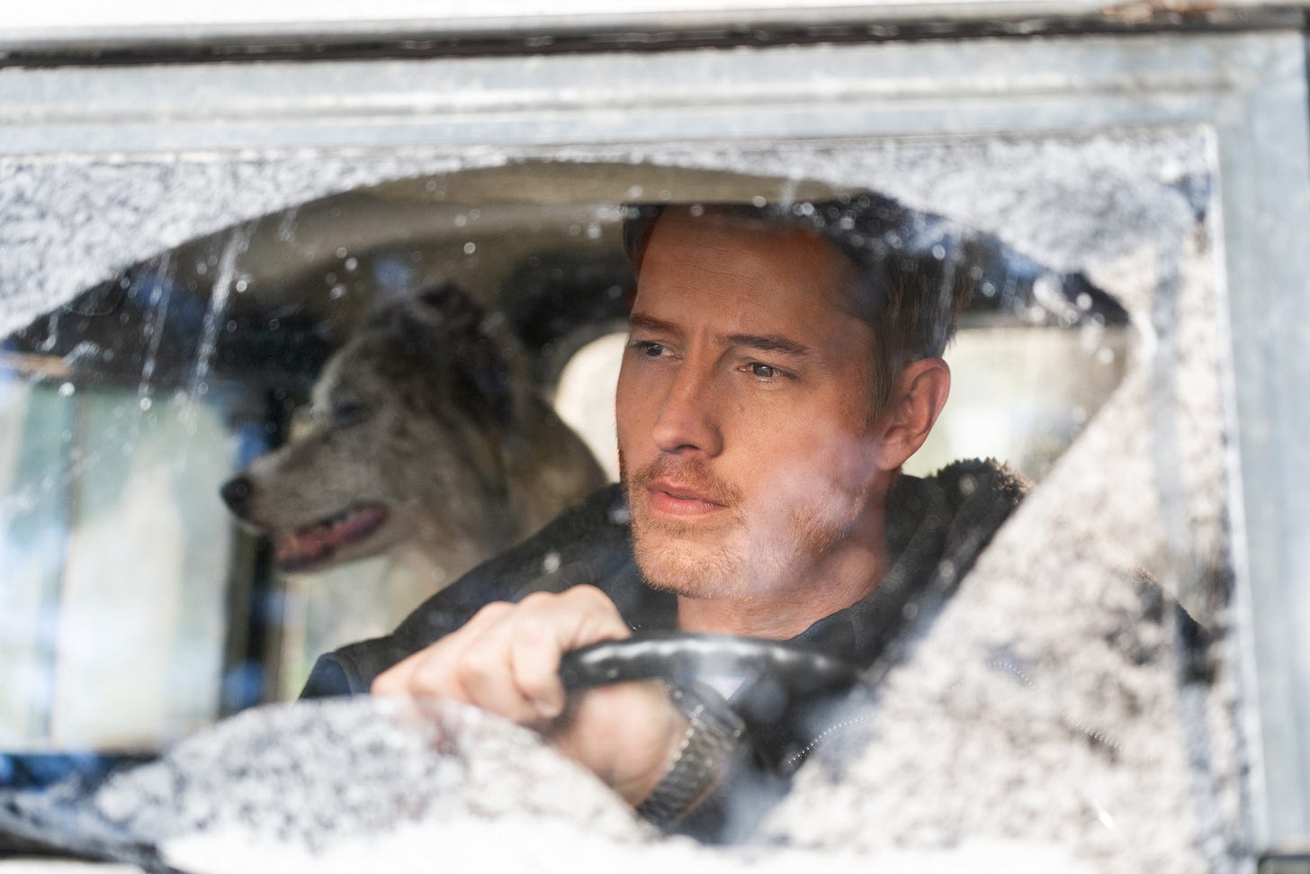 The Noel Diary (2022) - IMDb