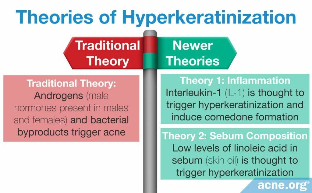 Hyperkeratinization Rabbits WTF is that tiny seed inside of my acne? - by michelle