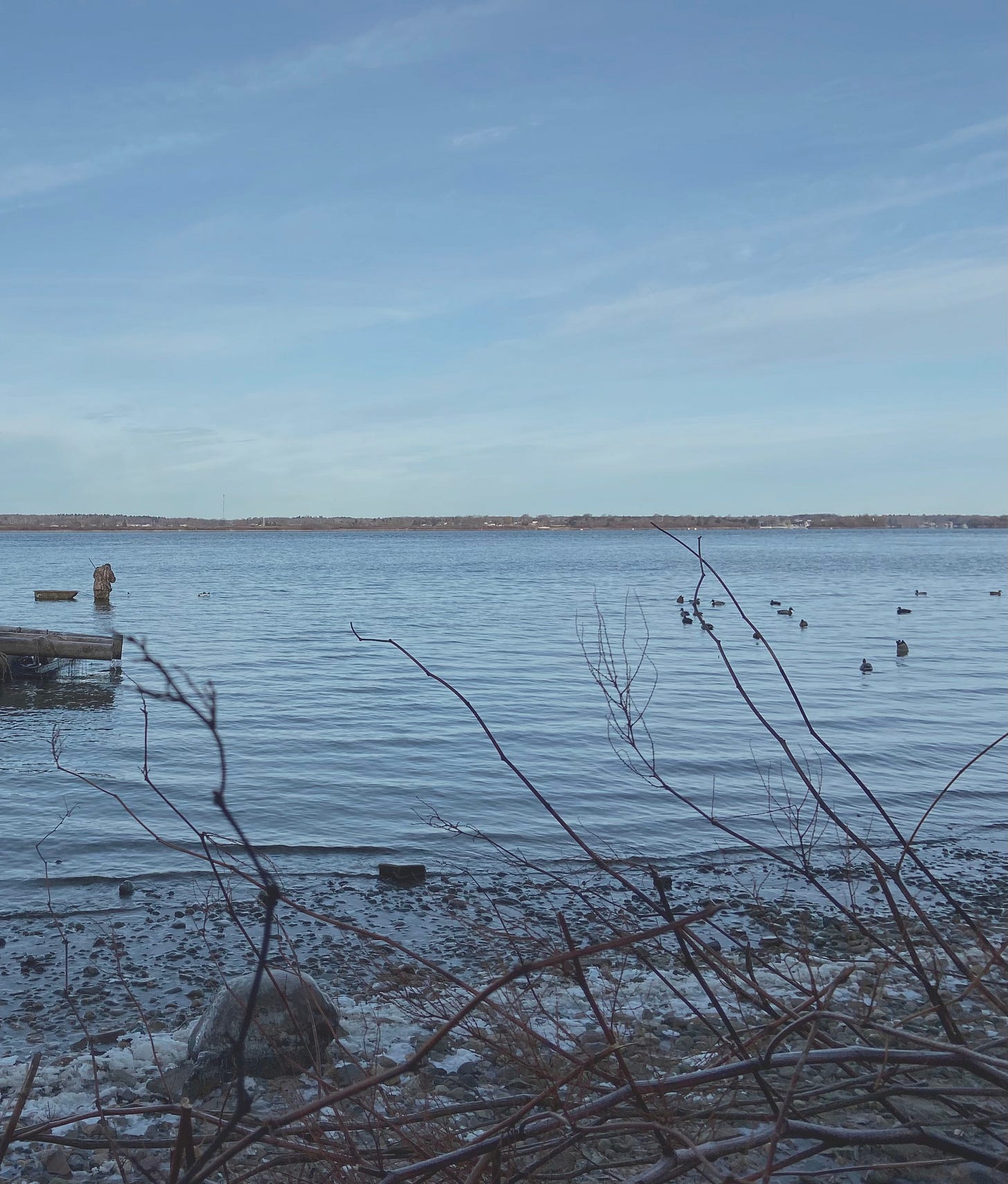 A hunter setting up duck decoys on the St. Lawrence River. A hunter setting up duck decoys on the St. Lawrence River.