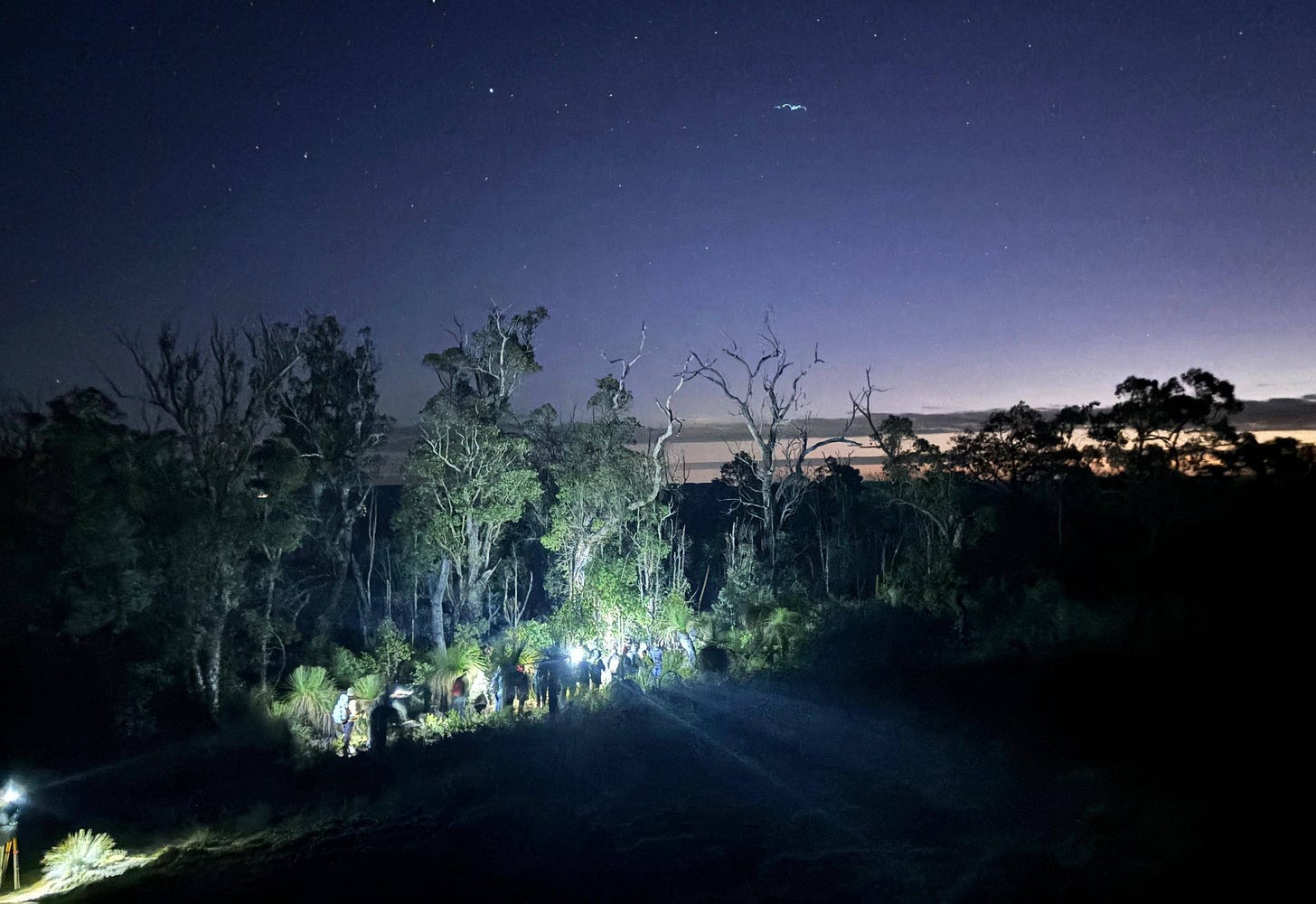 May be an image of twilight