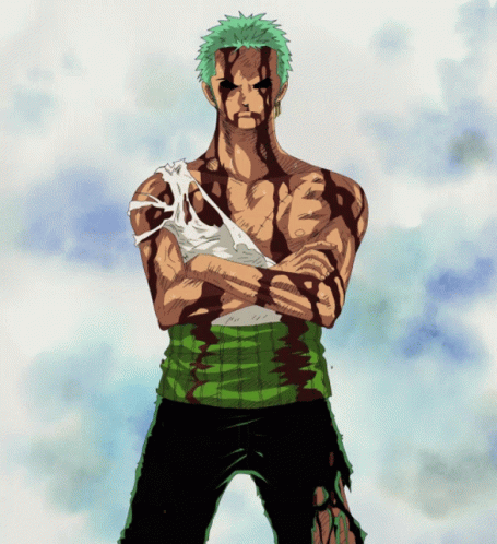 Zoro Nothing Happened GIFs | Tenor