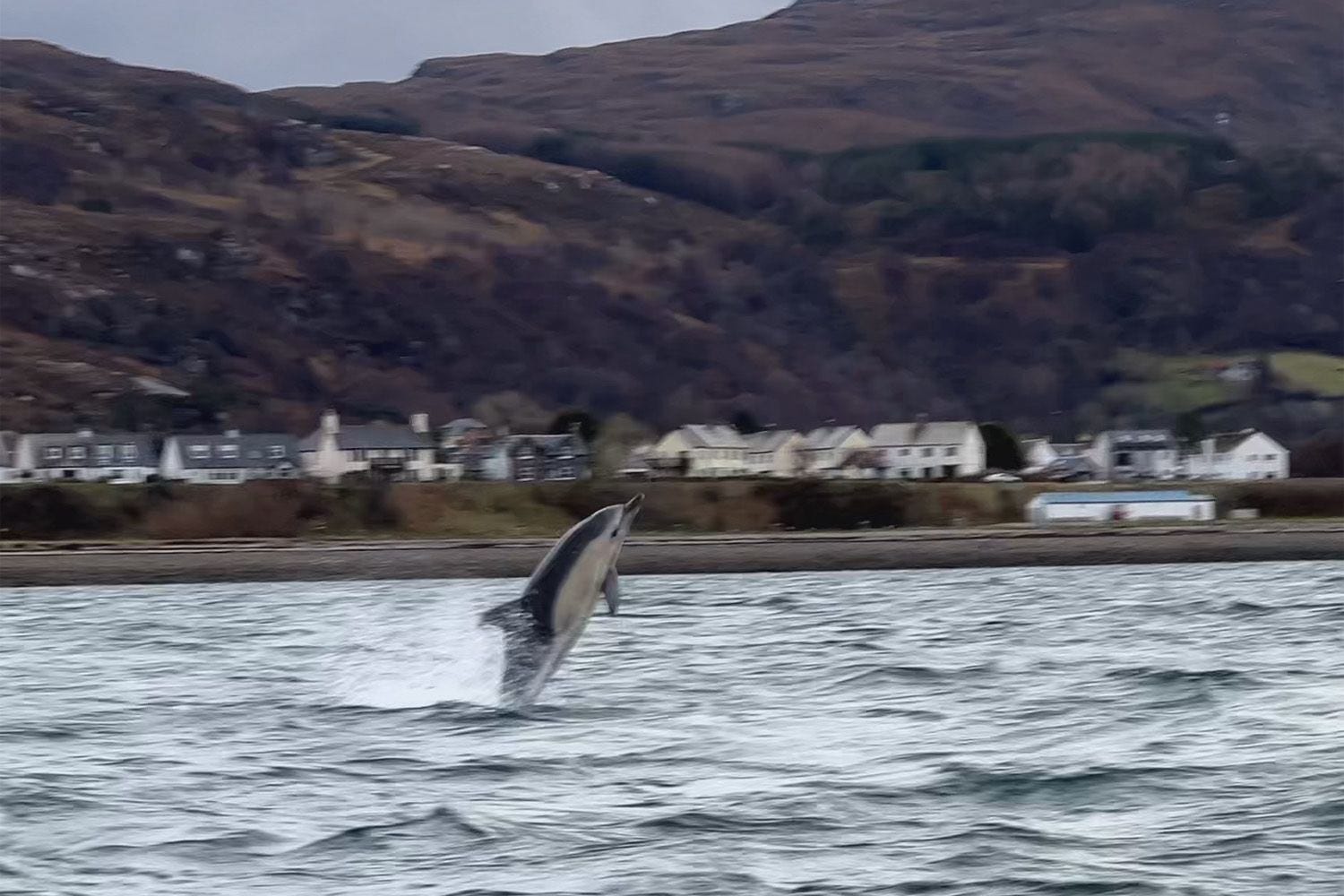 Expect the Unexpected - by High Life Highland Ranger