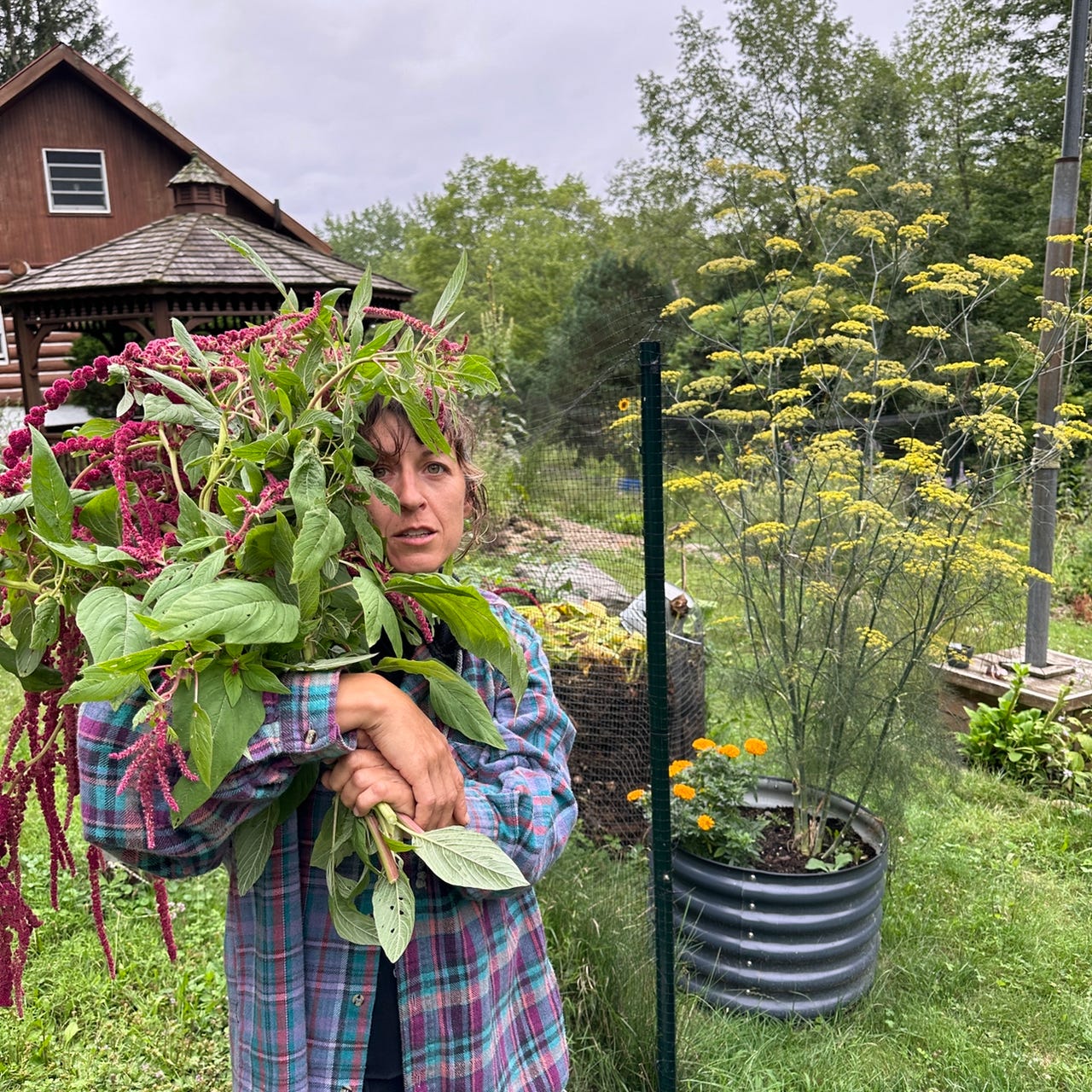 Stories from a Far(m)