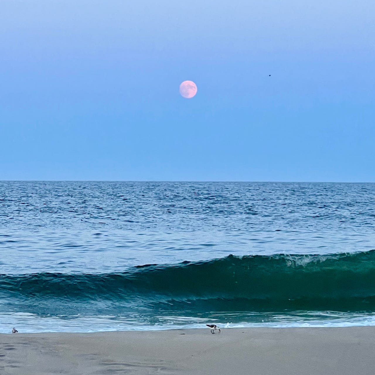 Kristi Marie Steinmetz