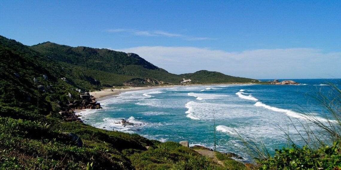 A sweeping view of Praia da Galheta shows turquoise waves breaking along a crescent-shaped beach surrounded by green hills under a blue sky. A rocky shoreline and dense vegetation frame the scene.